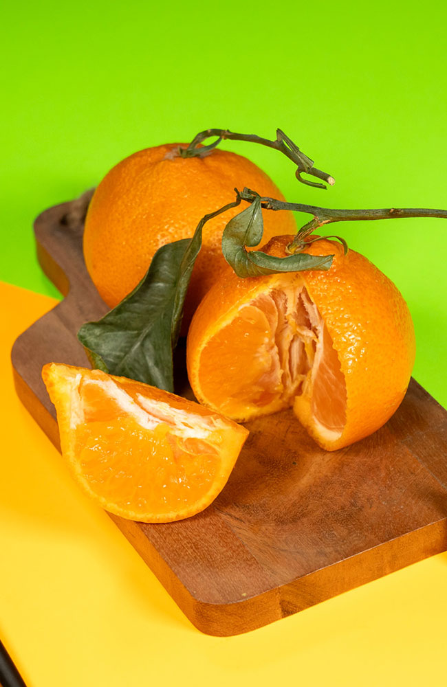 home-services-food-orange